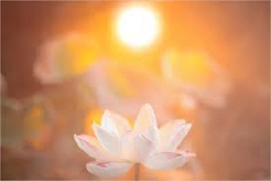 Karuna Reiki
