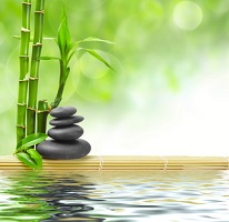Bamboo & stones
