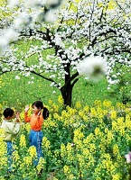 Blossom & Children