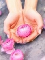 Hands Holding Blossom 2