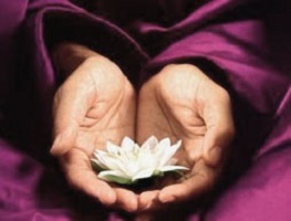 Manos Reiki Hands & Lotus Kruna